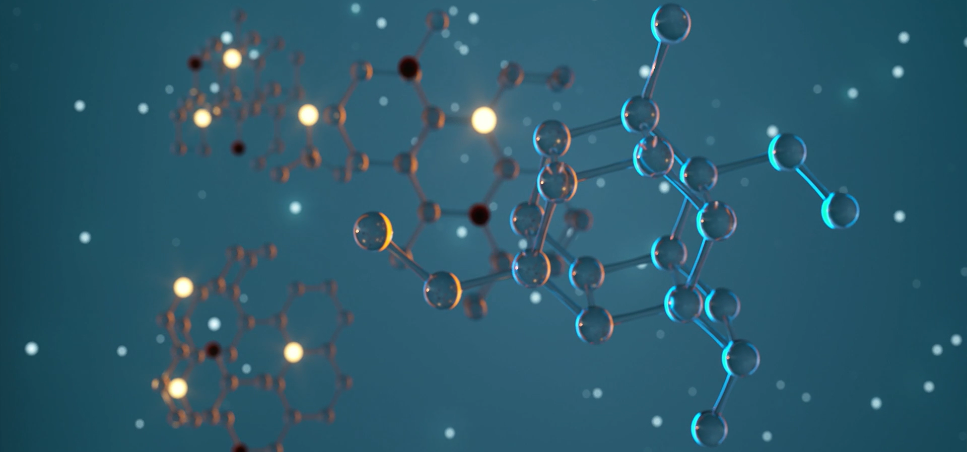 分子生物学应用领域